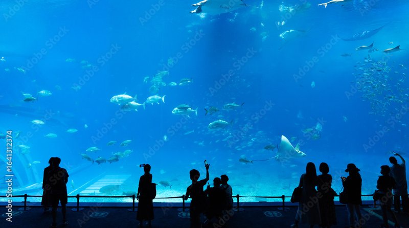 美ら海水族館